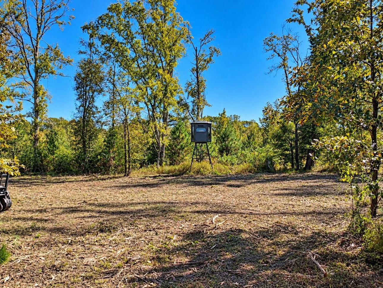 Cleared food plot with deer stand